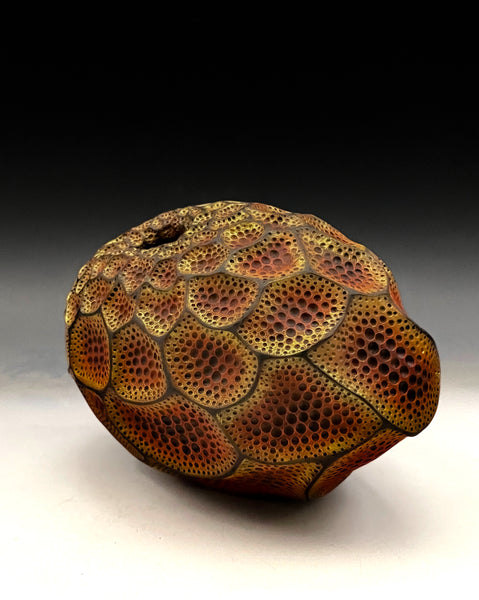 Apertum Aurum