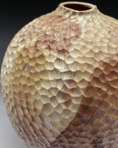 Bare Expressions In Ash