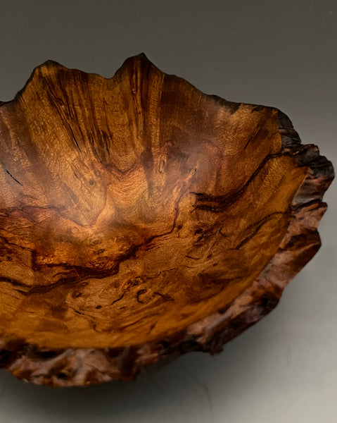 Madrone Burl Rift IV