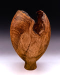 Emergence II