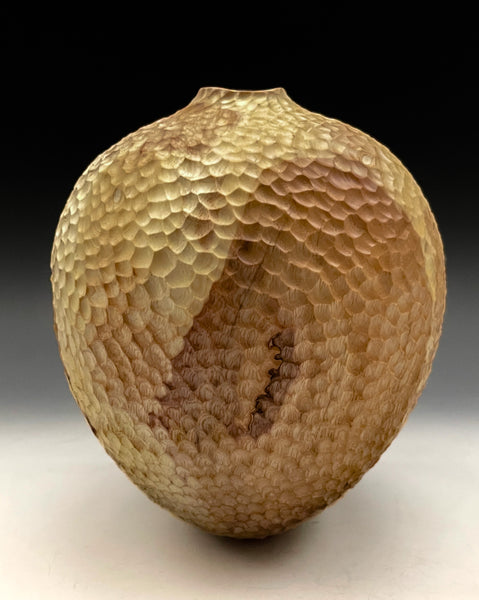 Bare Expressions In Ash