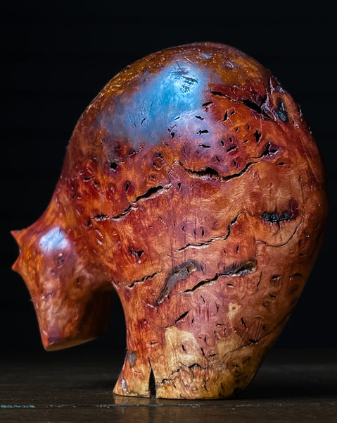 Manzanita Burl Bear