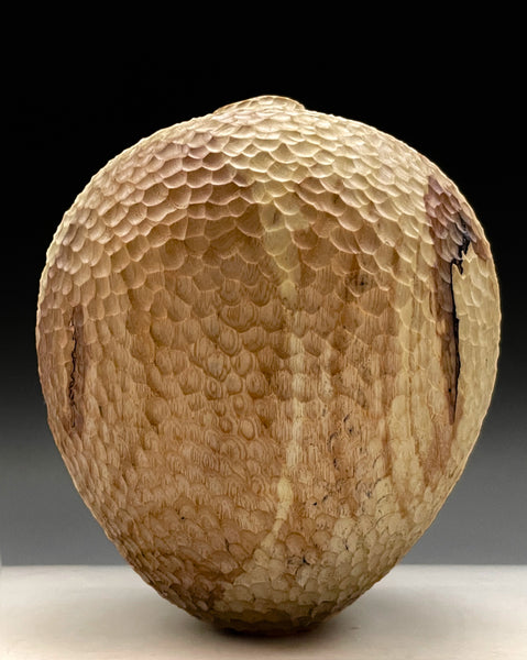 Bare Expressions In Ash