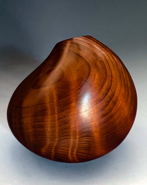 Old Growth Redwood Asymmetry