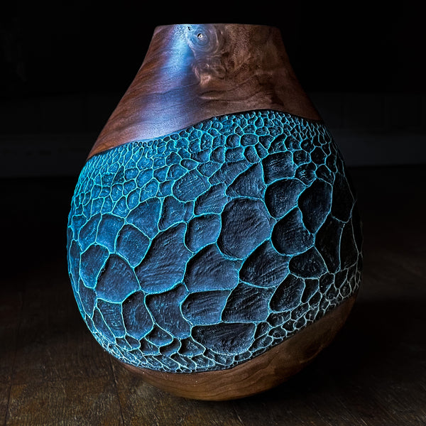 Black Walnut Erosion