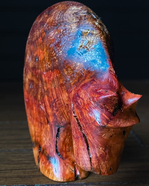 Manzanita Burl Bear