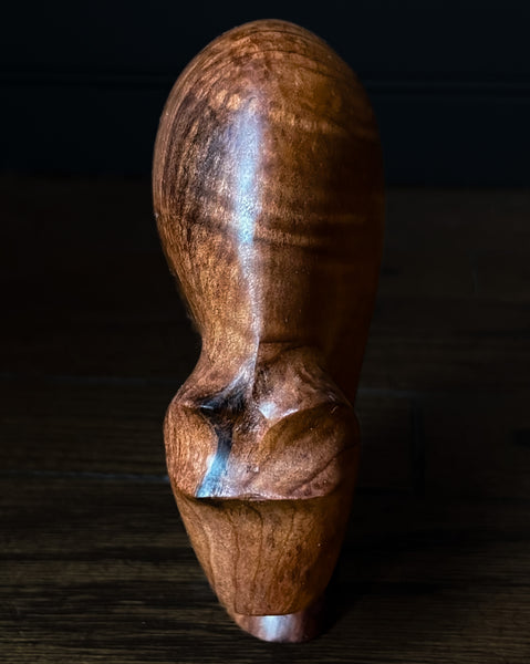 Redwood Bear
