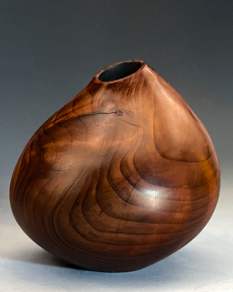 Old Growth Redwood Asymmetry