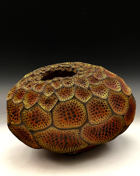 Apertum Aurum