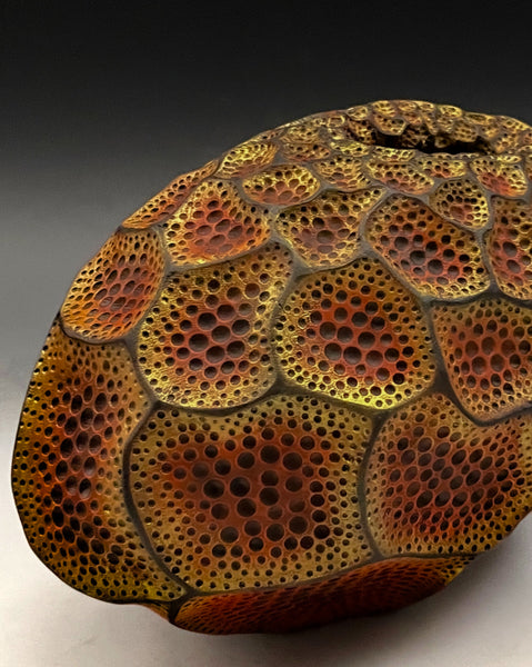 Apertum Aurum