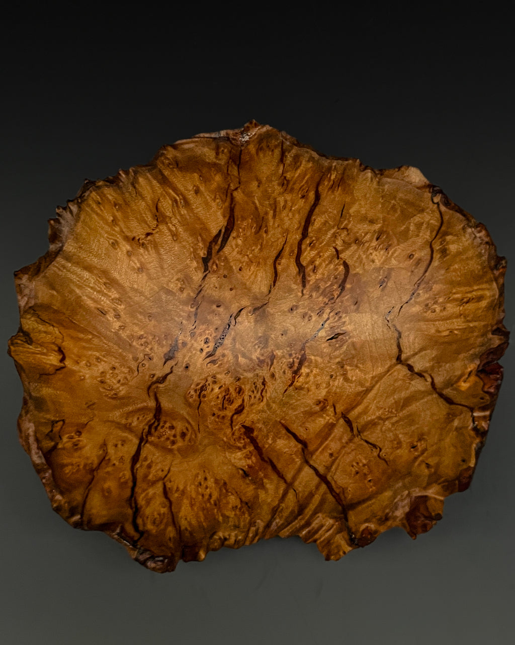 Madrone Burl Rift