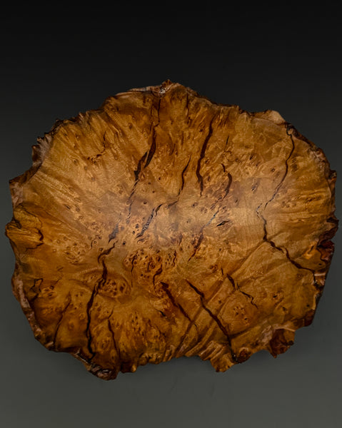 Madrone Burl Rift