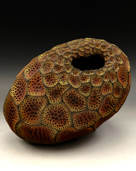 Apertum Aurum