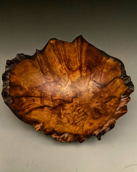 Madrone Burl Rift IV
