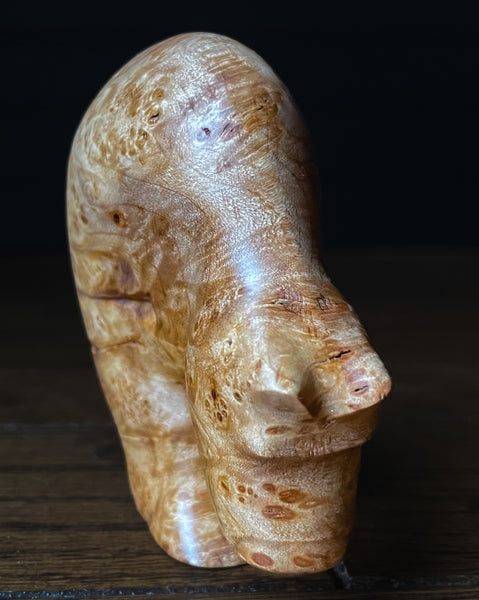 Maple Burl Bear