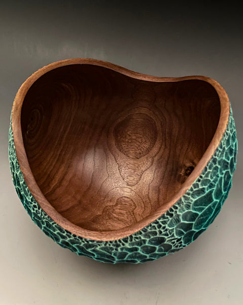 Black Walnut Erosion