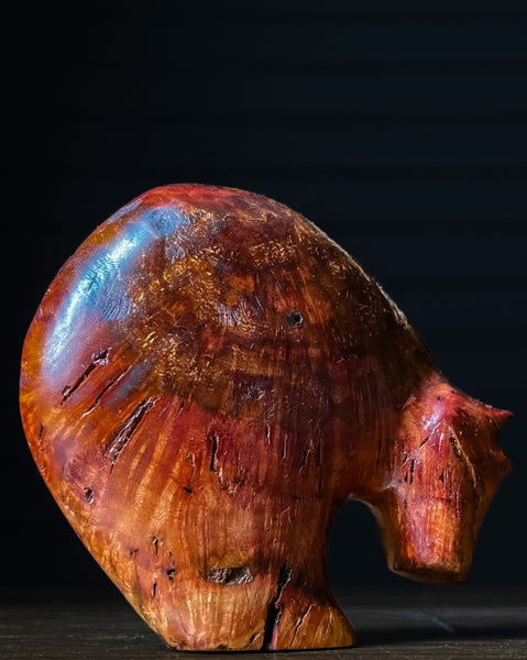 Manzanita Burl Bear