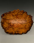 Madrone Burl Rift II