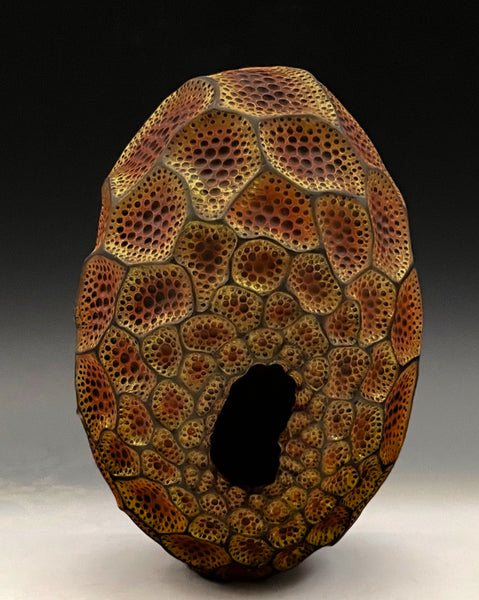 Apertum Aurum