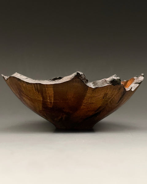 Madrone Burl Rift IV