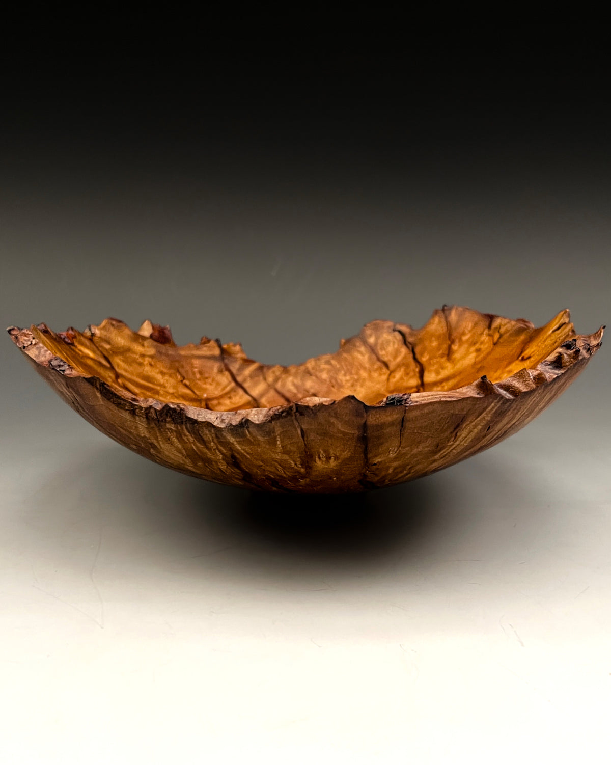Madrone Burl Rift