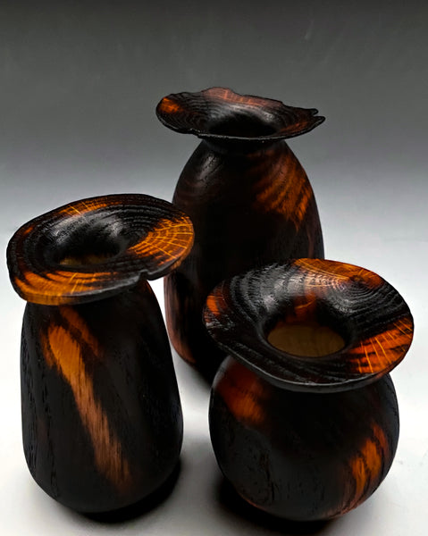 Sacred Connections V