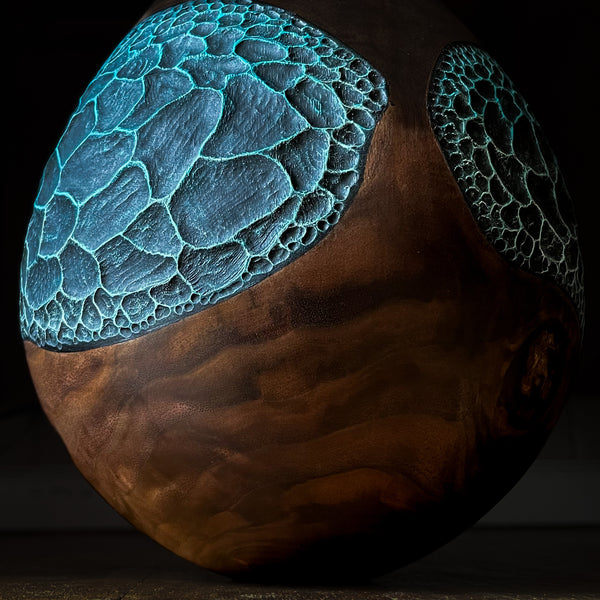 Black Walnut Erosion